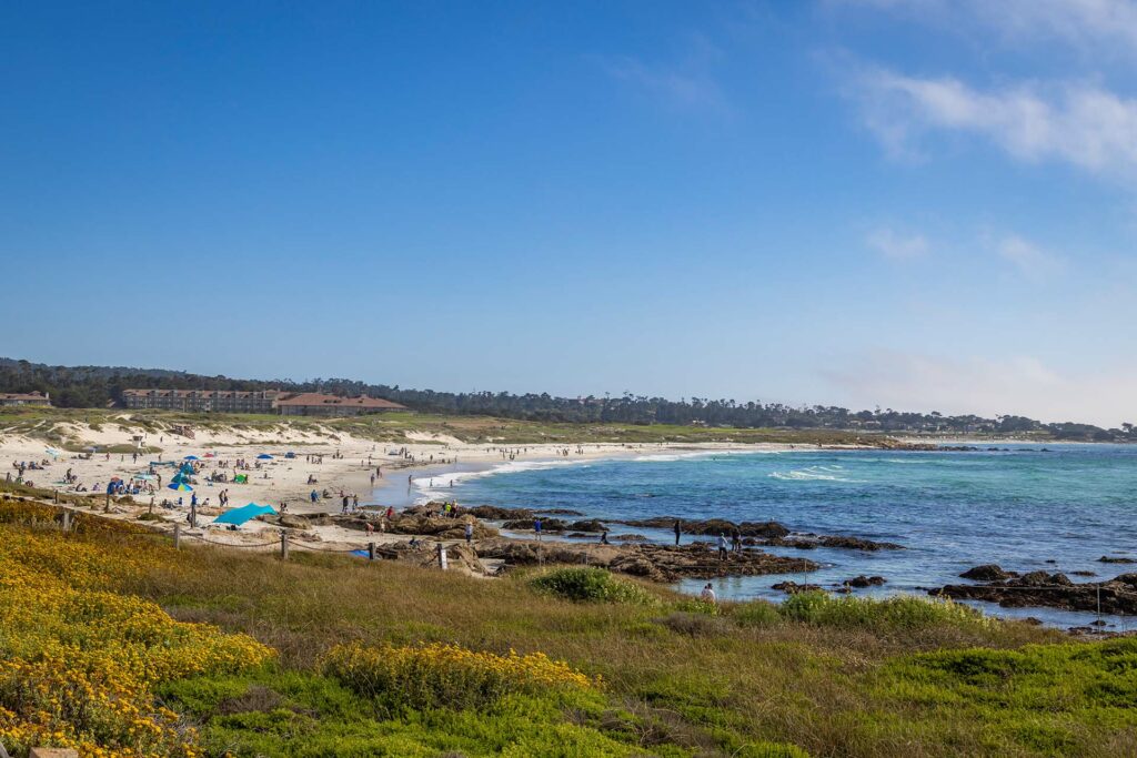 coastline near Marina Station